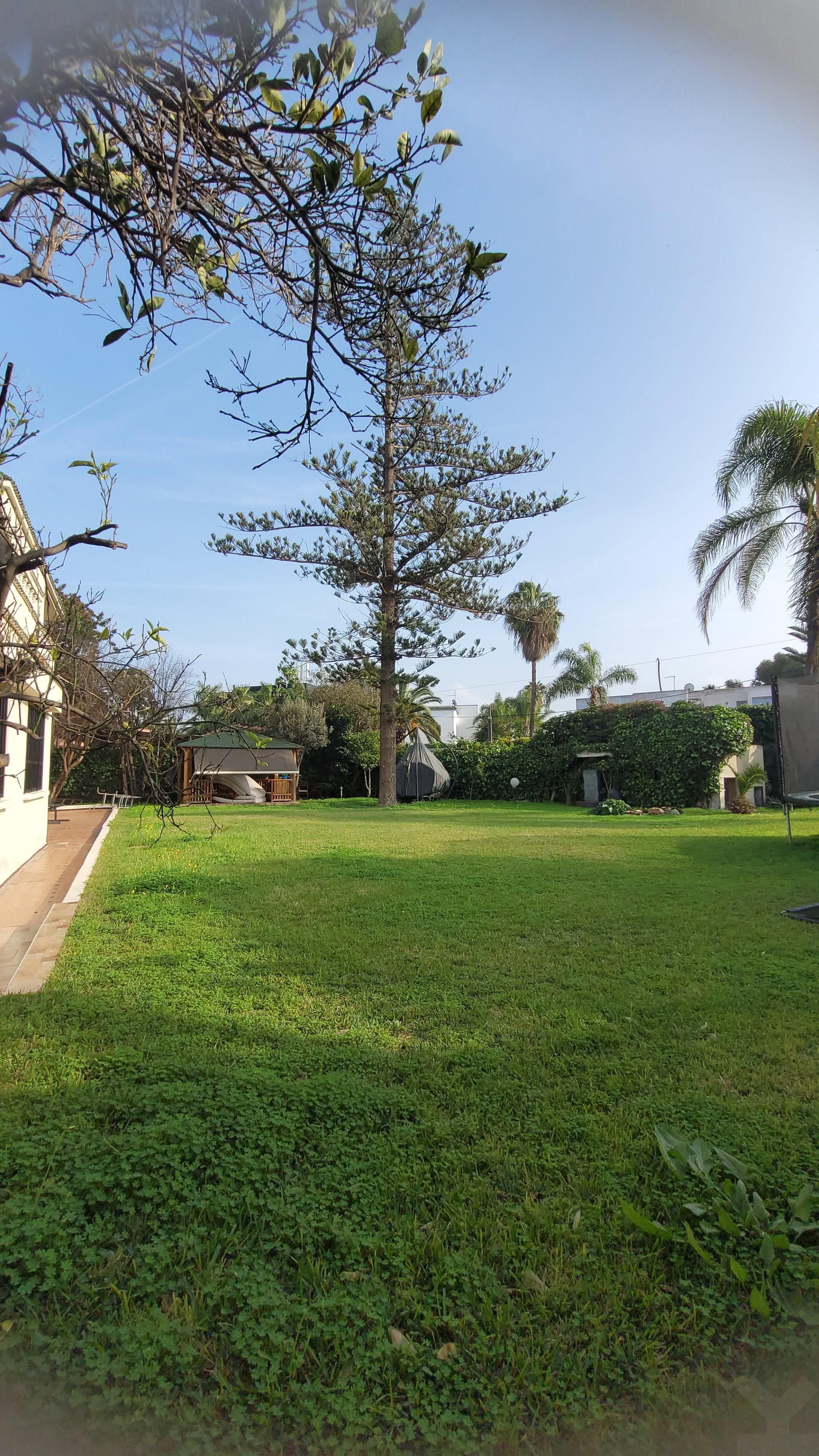 Villa-jardin — Jardin