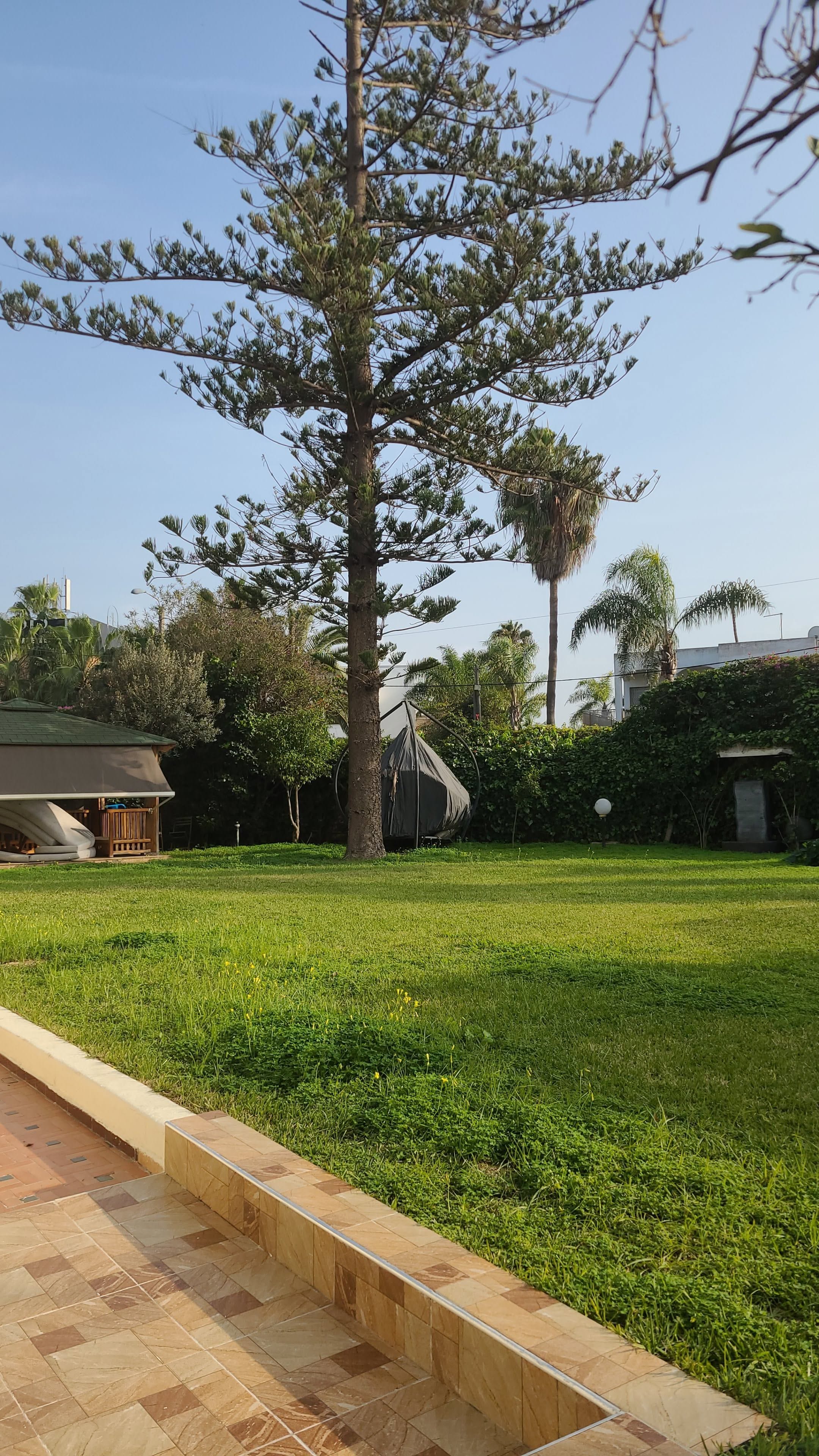 Villa-jardin — Jardin